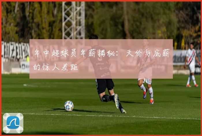 年中超球员年薪揭秘：天价与底薪的惊人差距