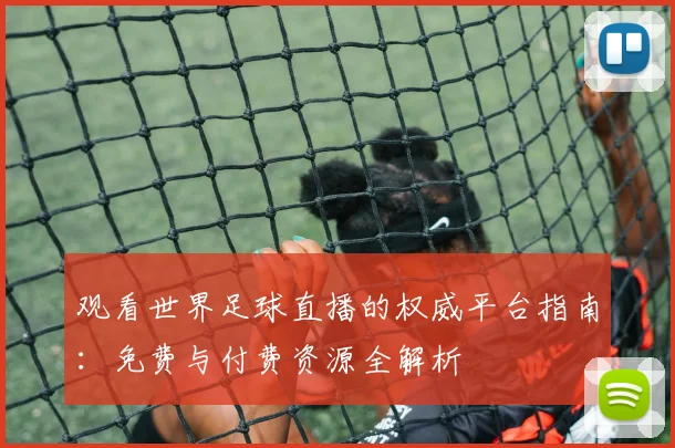 观看世界足球直播的权威平台指南：免费与付费资源全解析